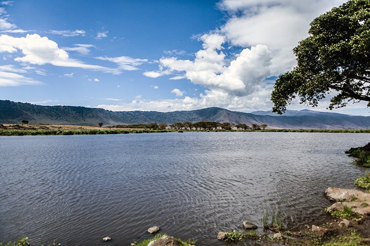 TZA ARU Ngorongoro 2016DEC26 Crater 087